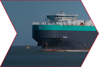 intercontinental-logistics-arrow